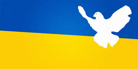 Weiße Taube vor den Farben der Ukrainischen Flagge